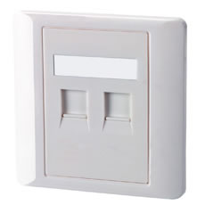 Faceplate with shutter-2 port